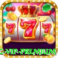 55ac - VIP Premium